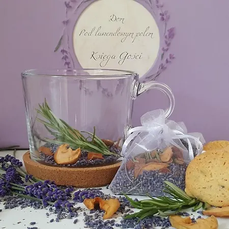 ベッド・アンド・ブレックファスト Dom Pod Lawendowym Polem