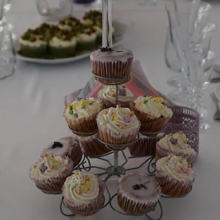 ベッド・アンド・ブレックファスト Dom Pod Lawendowym Polem Wolibórz