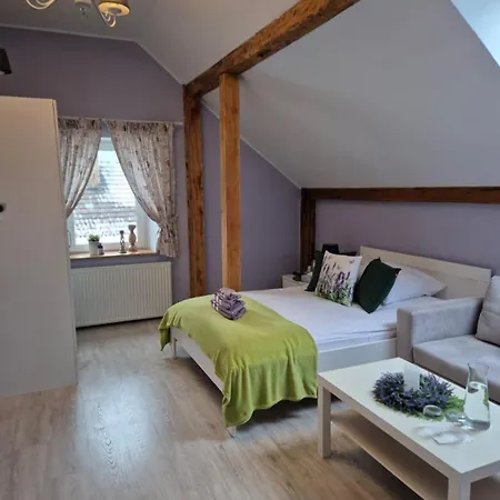 Dom Pod Lawendowym Polem Bed & Breakfast Woliborz