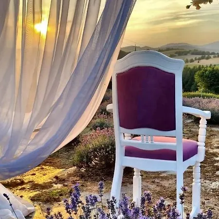 Dom Pod Lawendowym Polem ベッド・アンド・ブレックファスト 3*