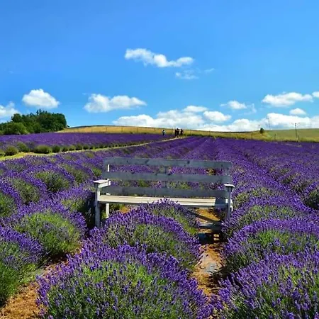 Dom Pod Lawendowym Polem Panzió Wolibórz