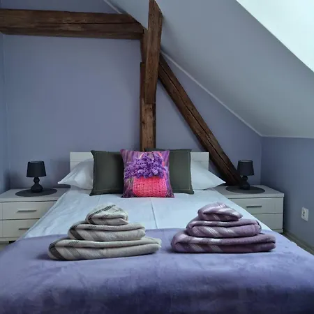 ベッド・アンド・ブレックファスト Dom Pod Lawendowym Polem 3*