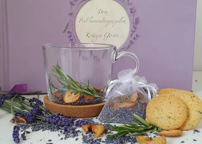 Bed & Breakfast Dom Pod Lawendowym Polem