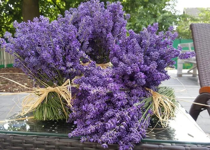 Bed & Breakfast Dom Pod Lawendowym Polem