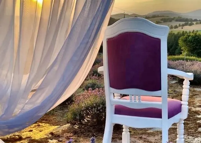 Dom Pod Lawendowym Polem Bed & Breakfast 3*